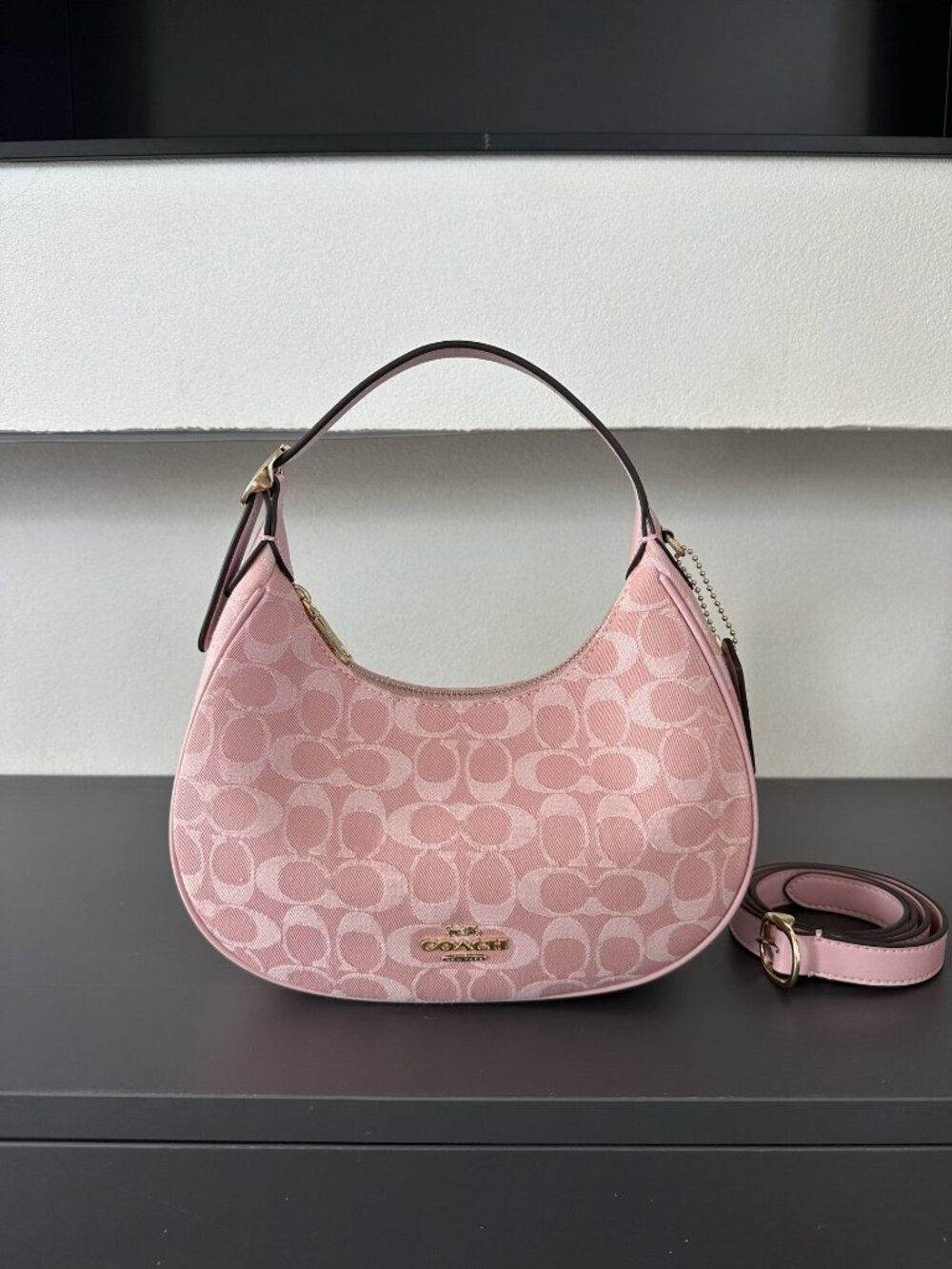 Coach Women's Emily Crescent Handbag (Tote/Crossbody)